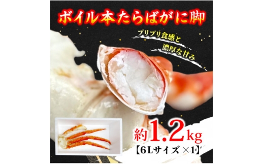 y錧ЂȂsz{C{΂ɋr 6L×1(1.2kg)y1692168z