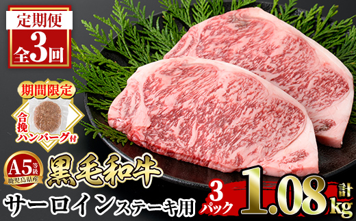 yǎsza853-E ԌI҃no[Oty3ցzA5⎭YјaT[C2(3Pv1.08kg) y{Yzǎs Y  T[CXe[L Xe