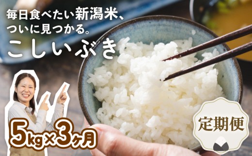 yVVcszyցz ߘa7NY VYԂ 5s×3 V VY V VcY Vc   Ԃ ƂƂs  5kg 15kg 3  ʌ 