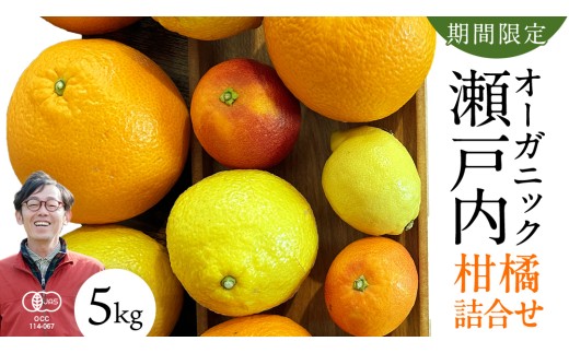 yL㓇zY I[KjbN t[c lߍ킹 5kg  ubhIW ͂邩 sm g L@JASF IׂTCY ˓ L 㓇  L@͔| k Z 