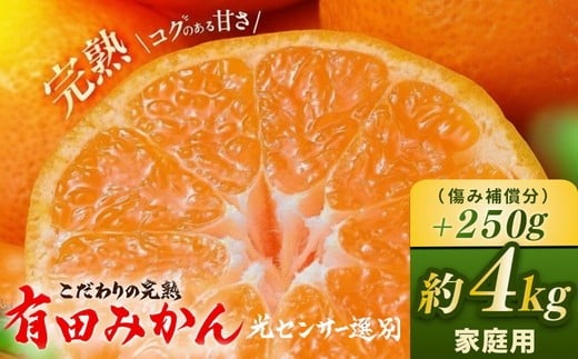 ya̎Rlz_ZT[Iʁ^̊nLc݂ 4kg{250g(ݕ⏞) yƒpzTCY L@엿100%Zb ݂ Lc݂ B݂ ~J B~J k