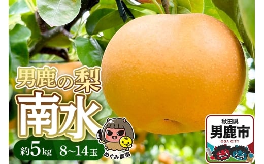 yHcjszssttj̗ 쐅 5kg 8`14  Hc js ߂ݔ_ 2026N9{蔭