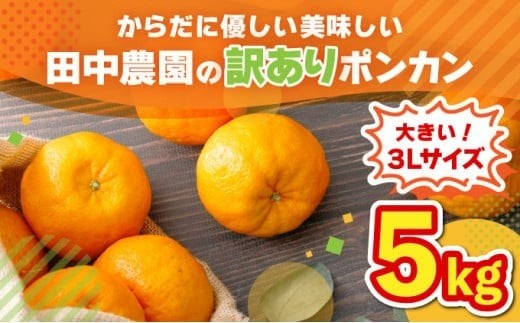 ymmzys\z󂠂|J 5kgi3LTCYj Y mY 󂠂 Î_ς W[V[  ~J L@엿 m m l  t[c ʕ  TA1