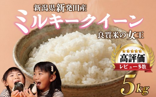 yVVcszyNzzߘa7NY ~L[NC[ 5kg  ~ RVqJ Ђ ˑRψَ R    ܂ VY V V V Vc Vcs Y