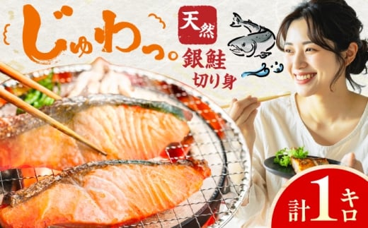 yL쒬z ؂g@1kg@L쒬 / ЃC[t@Ng[ [AFBS025]