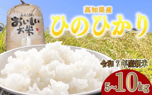 ymzy ߘa7NxY z  5kg ` 10kg Ђ̂Ђ  5L ` 10L  Y  qmqJ C䂩̗ ܂ɂ   Yn ӂ邳Ɣ[ŕ ӂ邳