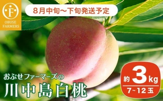 y쌧z{z쒆 3kg 7`12 mԂt@[}[Yn   t[c ʕ N[ ① 쌧Y MBY Ԍ ʌ s\ 2026 ߘa8NYy2026N8{