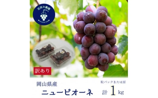 yRVz2026NstR@ԏ΂ݔ_ w󂠂j[sI[lx1kg@WP-1y1650778z