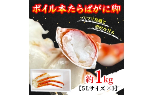 y錧ЂȂsz{C{΂ɋr 5L×1(1kg)y1692167z