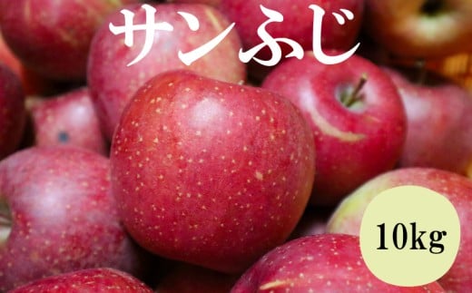 y蒬zTӂ 10kgi 蒬Y j apple S ь ʕ t[c fU[g XC[c ʎ Y VN t[c  Yn ƒ  lC Mtg { ʌ