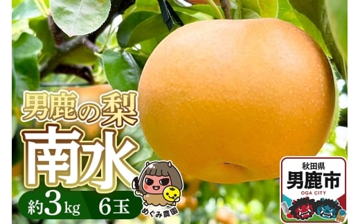 yHcjszssttj̗ 쐅 3kg 6  Hc js ߂ݔ_ 2026N9{蔭