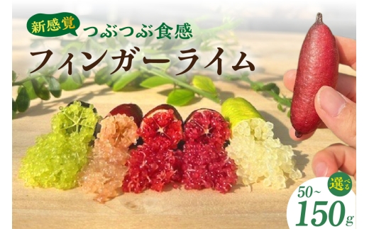 �y���m���튊�s�z�V���o�ԂԐH���I�t�B���K�[���C���@�I�ׂ�e��50g�`150g �t���[�c �ʕ� ���Y ���k �t���[�c�L���r�A �X�̃L���r�A �f�U�[�g �� �鉀 ���m�� �튊�s