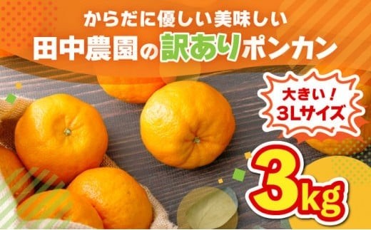 ymmzys\z󂠂|J 3kgi3LTCYj Y mY 󂠂 Î_ς W[V[  ~J L@엿 m m l  t[c ʕ  TA1