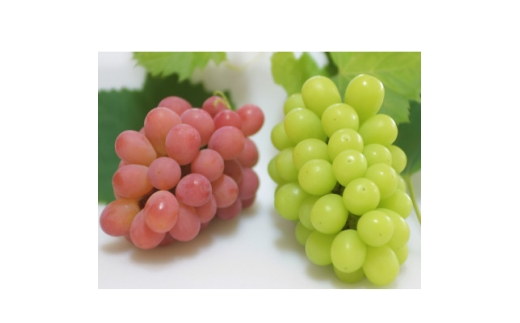 yRRsz2026NTVCbh&VC}XJbg ґ2FHה v1kg _Agy1690334z