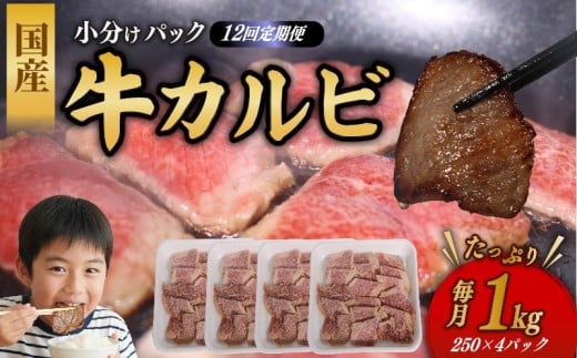 ymˎszy12ցz Y Jr 1kg  ē  Jr ؂藎Ƃ ^Ђ o[xL[ Ƒ g؂pbN ٓ y Ⓚ m ˎs