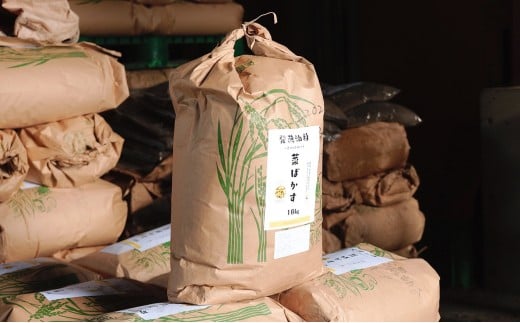 yꌧߍ]szy엿 ؂΂ 18kg mon@l ̂܂GRy ꌧ ߍ]s A-D36 y L@엿  ؎ ؂̉ GRvWFNg 엿 y 