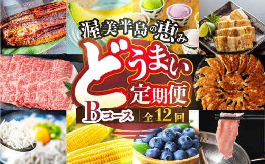 ymcsžb   12 R[X   ( Ȃ / uh /  / 炷/ Lq / WF[g / Ƃ낱 / Ă / g}g /  /  ) 12 1N V EiM