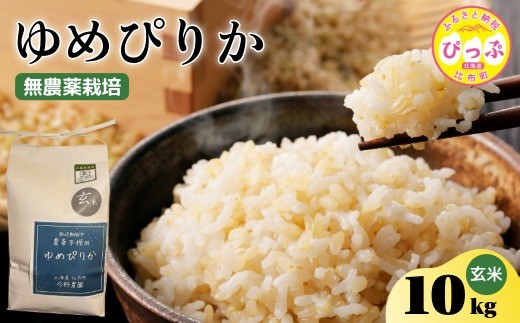 ykCzzߘa7NY V ߂҂肩  10kgy_z_͔| _sgp w엿sgp   kC AN Y R 2025NY kC z ҂ 1012-008