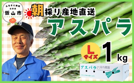 y쌧юRszy2026N s\ẑ!In͔| AXpKX LTCY 1kgs 2026N5 t(Bu-001)  | MB юR AXp tAXp In͔| ̂