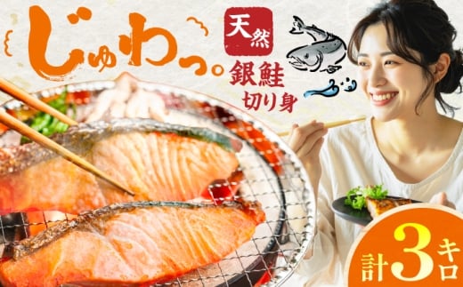 yL쒬z@؂g@3kg@L쒬 / ЃC[t@Ng[ [AFBS027]