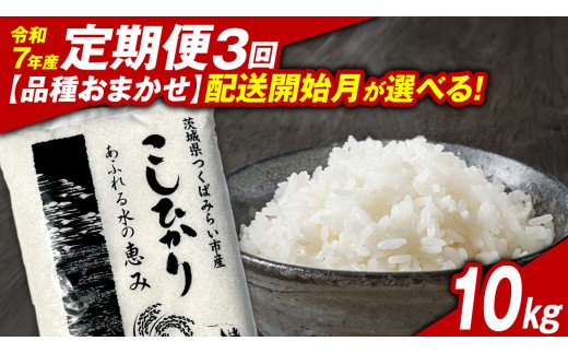 y錧΂݂炢szy ցi5`7oׁjz錧΂݂炢sY  i킨܂ 10kg ×3 ߘa7NY  Ђ  R  P  錧Y Y   