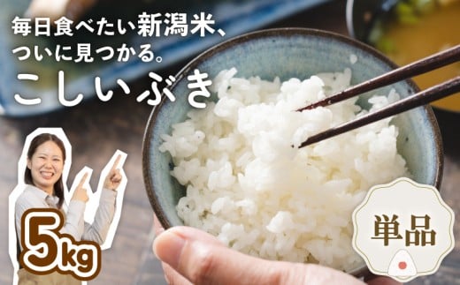 yVVcszߘa7NY VYԂ 5kg V VY V VcY Vc   Ԃ ƂƂs  5kg ʌ  ƂƂŝ D85_04