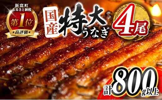 y{茧Vxz2026N2͂ Ȃ Vy Y  4 v800gȏ  ]  Ⓚ ȒP  V  i Mtg 蕨yC388-800-2602z