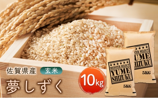 yꌧsz  10kg (5kg×2) ܂ă}CX^[II   zsF