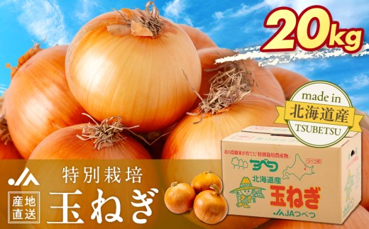 先行受付】R8年産 特別栽培玉ねぎ 20kg | 北海道津別町 - 北海道津別町