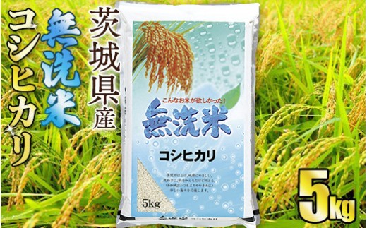 古米　茨城県産コシヒカリ 無洗米】令和7年産茨城コシヒカリ 5kg - 茨城県守谷市｜ふるさと