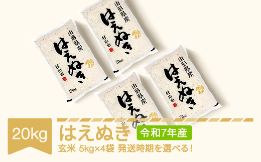 米 20kg 5kg×4 はえぬき 玄米 令和7年産 2026年1月下旬 mk-haxxa20-g1c