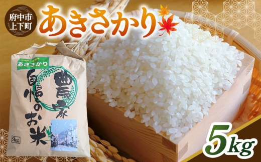 あきさかり 精米 5kg ／ お米 米 こめ 精米 白米 5キロ 国産 産地直送