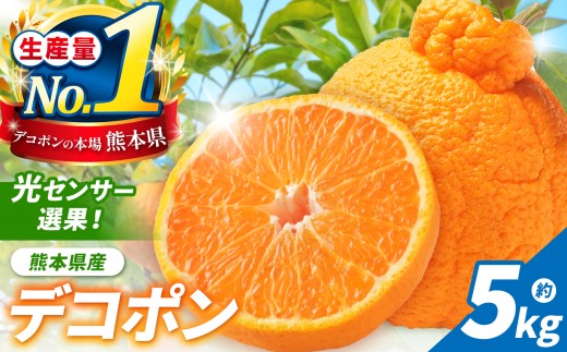 光センサー 選果！ 熊本県産 デコポン 約 5kg | 果物 くだもの