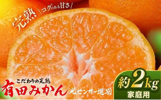 【個別可】美品　追加版有　定価15000円→ 光センサー選別／こだわりの完熟有田みかん 2kg【ご家庭用】サイズ混合