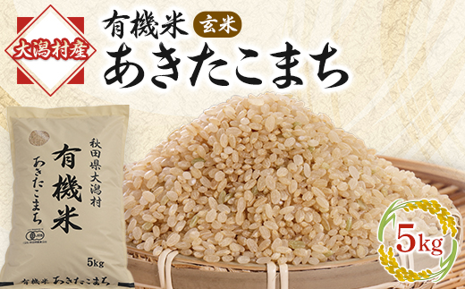 yHc劃zā܂L@5kgy1071245z