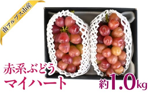 yRAvXsz2026Ns\񁄐ԌnԂǂ@}Cn[g@1.0kg@ALPAJ063@́@ʕ@VN@󏭎@@Ԃǂ@ Ԍn@@_ƒ@Yn@Mtg