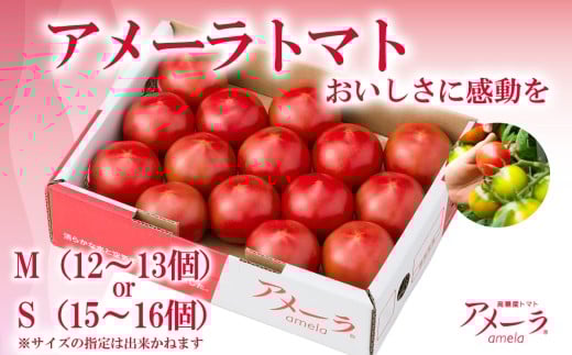 yÉRzA[g}g y g}g Ƃ܂  x lC A[ xg}g É R   z