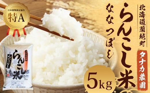 ykCzzߘa7NY 񂱂 iȂȂڂj 5kg i^iJ_jyz