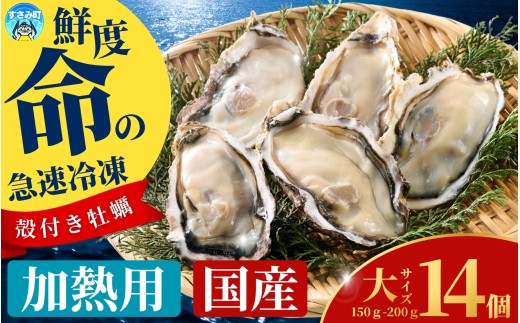 ya̎RݒzY }Ⓚy Mp TCY 14 / y kt CN  JL Ⓚ ymix008z