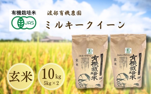 y쑊nszJASL@ ~L[NC[  10kg(5kg×2) ߘa7NY | JAS L@ R   uh   Y nL@_