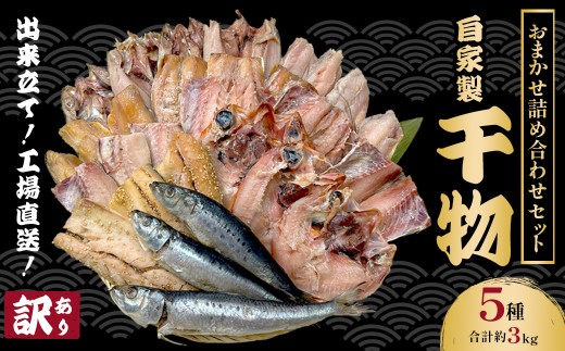 ytԔszy󂠂zoāIH꒼I ƐEYHi܂lߍ킹Zbg 5 3kg 󂠂 A  ق zbP AW  To   e lߍ