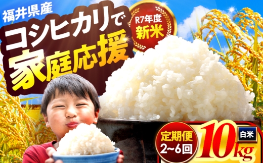 y䌧lszy6AzlsYRVqJ  10kg ዷ̎RĂ͂ Y 䌧 /  V n斧 Ė≮ ls / ~cčX [BFEK018]