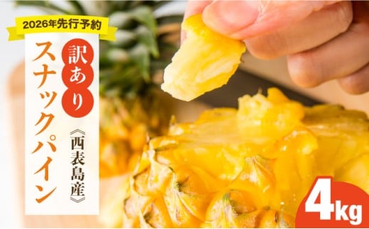 yꌧ|xz󂠂I2026Ns\@傫sIɂςXibNpC4kgZbg