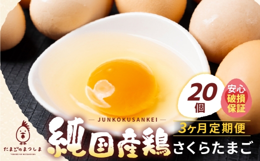 y򕌌_szy3z20 VN I 炽܂  3 pbN  3 VNȗ (E܂͑Oɍ̂ꂽ)  S S Ή j ۏ ۏؕt SΉ T|[