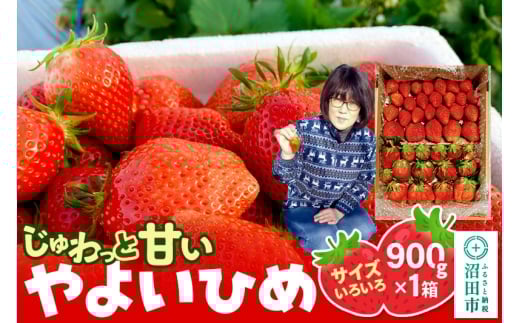 yQncszs2026N1{`2{tƊÂITCY낢u悢Ђ߁v900gi1^jR  C`S 