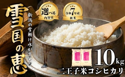 yVVcszߘa7NY VY RVqJ 10kg 5kg×2 ʌ ʍ͔| 񉤎q VY V VcY Vc   kome    ͂ CX ӂ邳Ɣ[ŕ RV