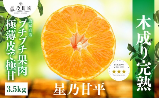 yQlszT݂񉀂̐TÕ(3.5kg)D45-46y1339329z