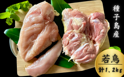 yV\szq ܂K[f { 1H  1,2kg i  p j@NFN635 y675ptz// l  TT~ g ƂĂ Ă VN