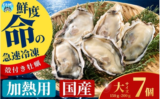 ya̎RݒzY }Ⓚy Mp TCY 7 / y kt CN  JL Ⓚ ymix006z