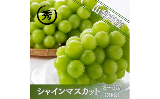 yRRsz2026NstlC! VC}XJbgG 2kg(3`5[)y1691661z